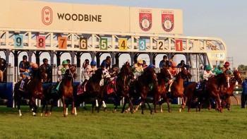 Betting War of Will in the Woodbine Mile Trifecta
