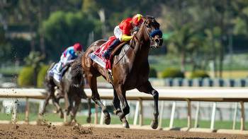 Betting With, and Against, Life is Good in the Woodward Stakes