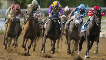 BetUS Breeders' Cup 2023 Betting Offer: $2500 In Racing Free Bets