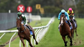 Big bets review: The hits and misses from Saturday racing