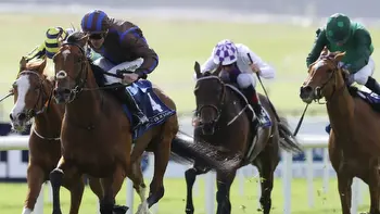 Big priced tips for the Irish Derby: Hannibal Barca more than an outsider