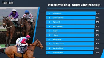 Big-race preview & tips: Virgin Bet December Gold Cup