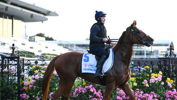 Biggest Melbourne Cup bets: Punter’s nervous wait with nearly $1m on the line