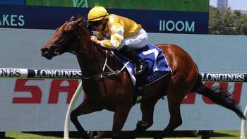 Biggest Silver Slipper field this century likely for Rosehill on Saturday