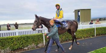 Bistro serves up a feast for Mullins in victory at Naas geegeez.co.uk