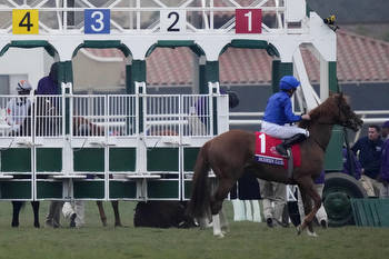 Bizarre starting gate incident triggers Breeders’ Cup controversy