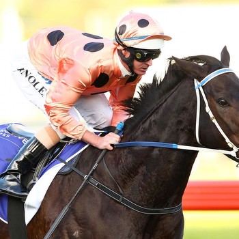 Black Caviar Looking to Deliver More Australian Sprinting Success at Royal Ascot