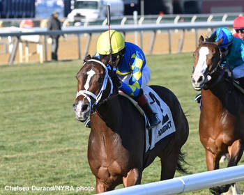 Blossoming Turf Specialist Bat Flip Best In Aqueduct's Central Park