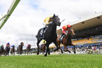 Blue Diamond Stakes 2023: Best result would justify faith in filly