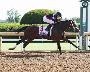Blue Grass: Art Collector Overtakes Filly Swiss Skydiver