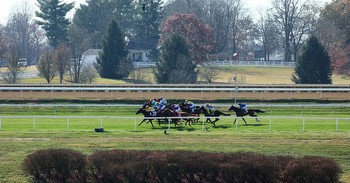 Blue Grass Stakes 2023: Results and purse money as Tapit Trice edges Verifying at Keeneland [VIDEO]