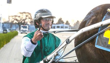 Bob bags double with young trotters at Addington