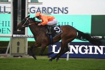 Bob Charley Stakes Day at Randwick Tips, Race Previews and Selections