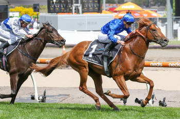 Boom Godolphin sprinter heads odds in the Manikato Stakes