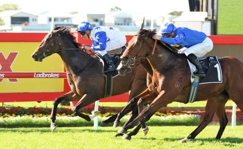 Boom horse heads early odds in the Magic Millions Syndicate