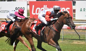 Boom local horse short odds in the Tasmanian Guineas