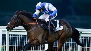 Boothill ready to tackle Jonbon in Henry VIII Novices' Chase at Sandown Park