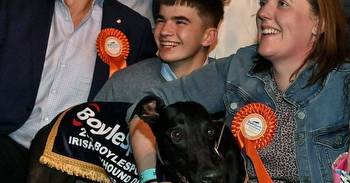 Born Warrior Is A Worthy Irish Greyhound Derby Champion