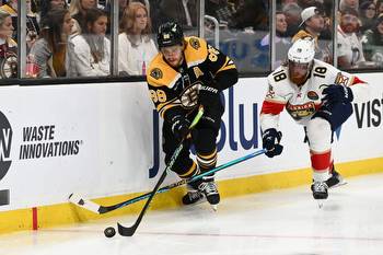 Boston Bruins vs Anaheim Ducks 10/20/22 NHL Picks, Predictions, Odds