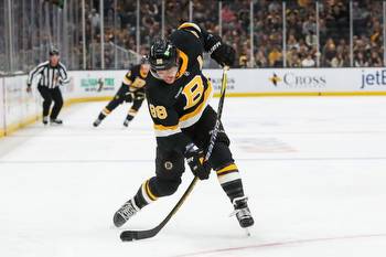 Boston Bruins vs Tampa Bay Lightning 11/29/22 NHL Picks, Predictions, Odds