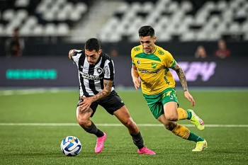 Botafogo vs Bahia Prediction, Betting, Tips, and Odds