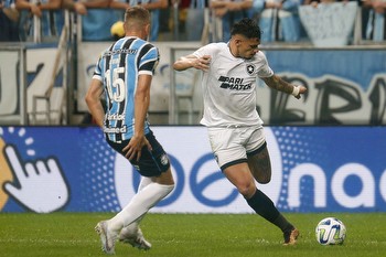 Botafogo vs Bragantino Prediction, Betting, Tips, and Odds