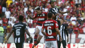 Botafogo vs Flamengo Prediction, Betting, Tips, and Odds