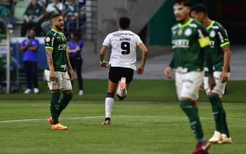 Botafogo x Palmeiras: odds, estatísticas e informações do jogo pela 31ª rodada do Brasileirão