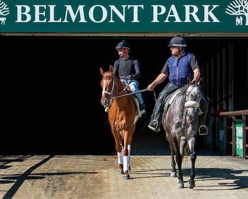 Bovada Belmont Stakes Welcome Offer: $750 Racing Free Bets