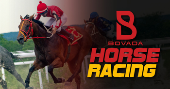Bovada Horse Racing Betting Options & Odds (2023)