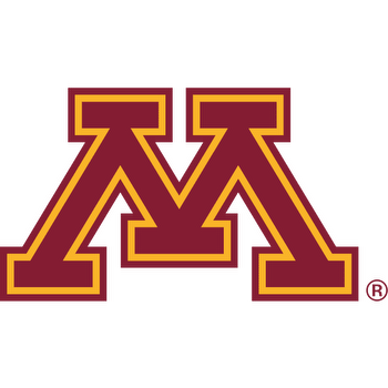 Bowling Green Falcons vs Minnesota Golden Gophers Prediction, Odds and Picks
