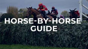 BoyleSports Grand Sefton Handicap Chase preview and tips: Horse by horse guide to Aintree fature
