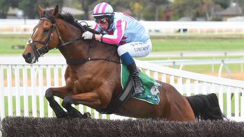 Brad Waters best bets for Sunday's Grand National Hurdle meeting at Flemington