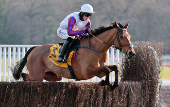 Bravemansgame next race: When is the Cheltenham Gold Cup?