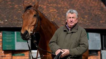 Bravemansgame set for Punchestown as Paul Nicholls declares 'we're going' amid court order fiasco