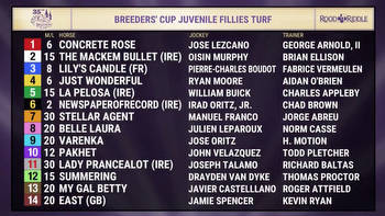 Breeders' Cup 2018: Post positions and odds