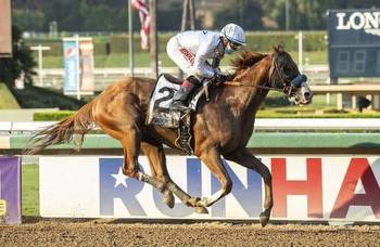 Breeders' Cup 2020: Classic Preview & Odds