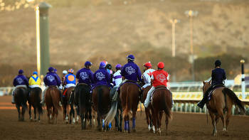 Breeders' Cup 2021: How to watch, live stream, preview, history