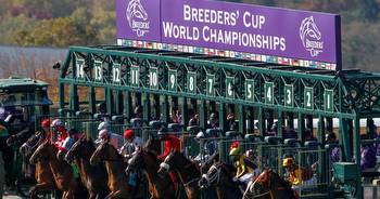 Breeders' Cup 2022 Betting Guide
