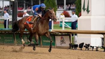 Breeders' Cup 2023: Arabian Knight, Timberlake among horses to watch