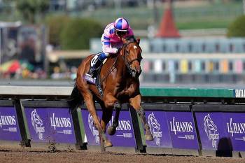 Breeders’ Cup 2023 Betting Guide, Odds For 14 World Championship Races