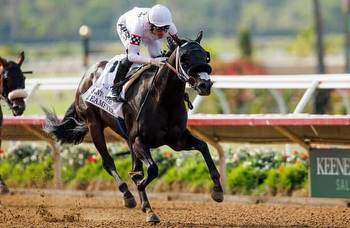 Breeders’ Cup 2023: Juvenile Fillies Turf keys and trends