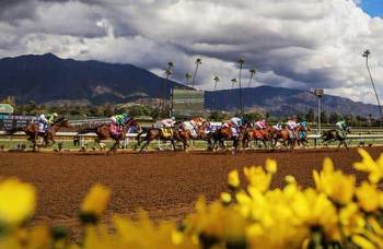 Breeders' Cup 2023: Keys and trends for unpredictable Juvenile
