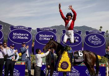 Breeders' Cup: Behind every horse a human story * The Racing Biz