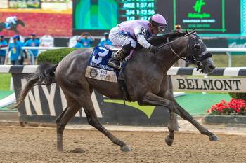 Breeders' Cup Betting Odds for 2023: Arcangelo Top Choice for Classic