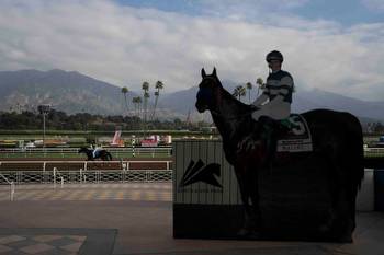 Breeders’ Cup bettors have to be picky this weekend