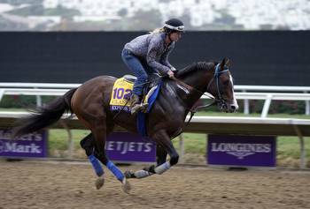 Breeders’ Cup Challenge: Awesome Again Stakes Vegas Odds & Pick