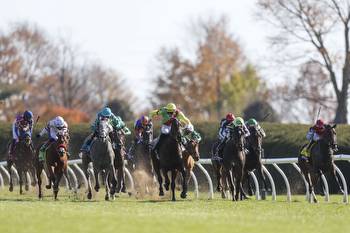 Breeders’ Cup Challenge: Miss Grillo Stakes Preview, Vegas Odds & Pick