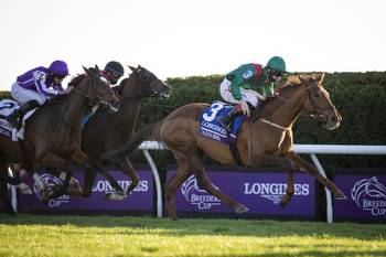Breeders’ Cup Challenge: Pattison Summer Stakes Vegas Odds & Picks