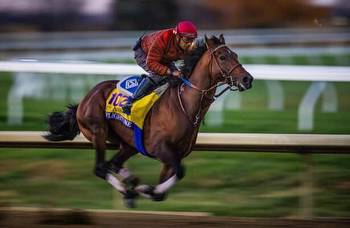 Breeders’ Cup Classic 2022: Odds and analysis